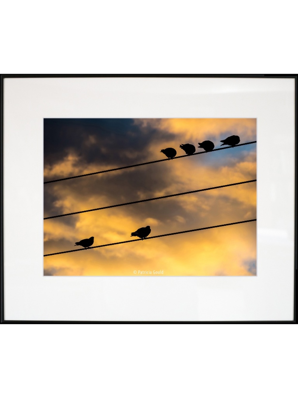 Morning Gathering - sunrise in Albuquerque - framed 20 x 24 ready to hang
